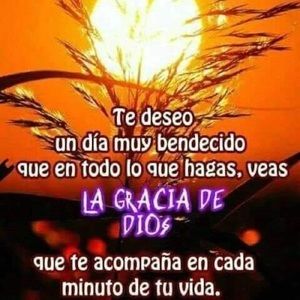 Meet your Posher, Luz